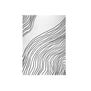 Minimalist abstract zebra rug from Amazon.