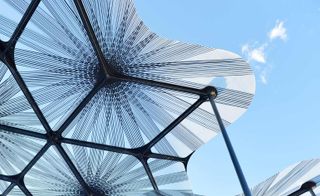 Amanda Levete's MPavilion creates a forest-like canopy for Melbourne's Queen Victoria Gardens