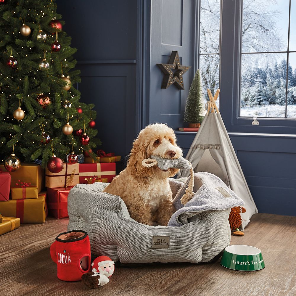 Treat pets this Christmas with Aldi's pet gifting collection Ideal Home