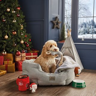 Dog bed beside Christmas tree