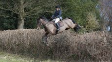 Sue-Payne__KS60800.jpg