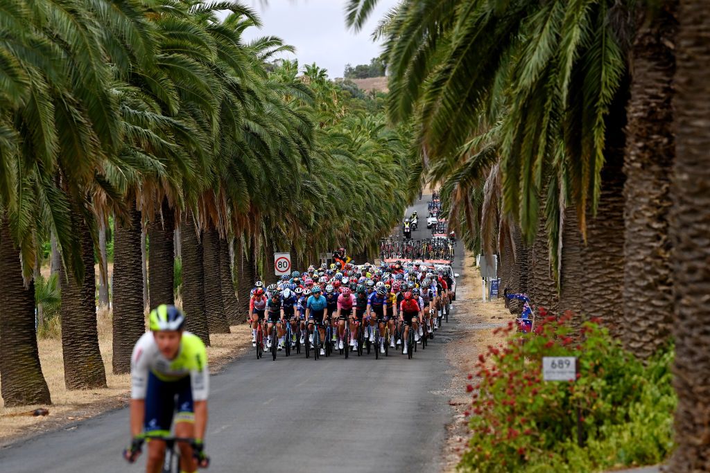 TANUDAZ AUSTRALIA JANUARY 18 A general view of Jannik Steimle of Germany and Team Soudal QuickStep Manuele Boaro of Italy and Astana Qazaqstan Team Lukasz Wisniowski of Poland and Tam EF Education Easypost Oscar Riesebeek of The Netherlands and Team AlpecinDeceuninck Jos Van Emden of The Netherlands and Team JumboVisma and the peloton competing during the 23rd Santos Tour Down Under 2023 Stage 1 a 1499km stage from Tanunda to Tanunda on January 18 2023 in Tanunda Australia Photo by Tim de WaeleGetty Images