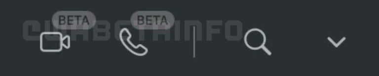 Whatsapp Web Calls