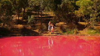 Melbourne pink lake Westgate Park