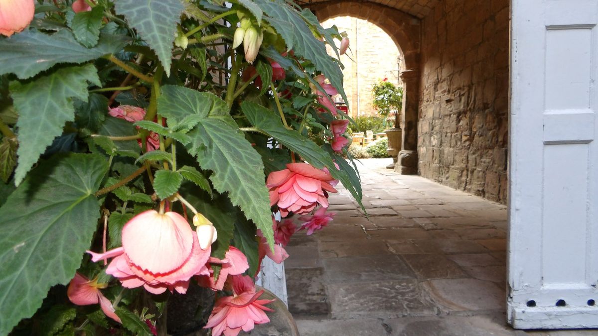 Images taken with the Kodak Pixpro AZ653