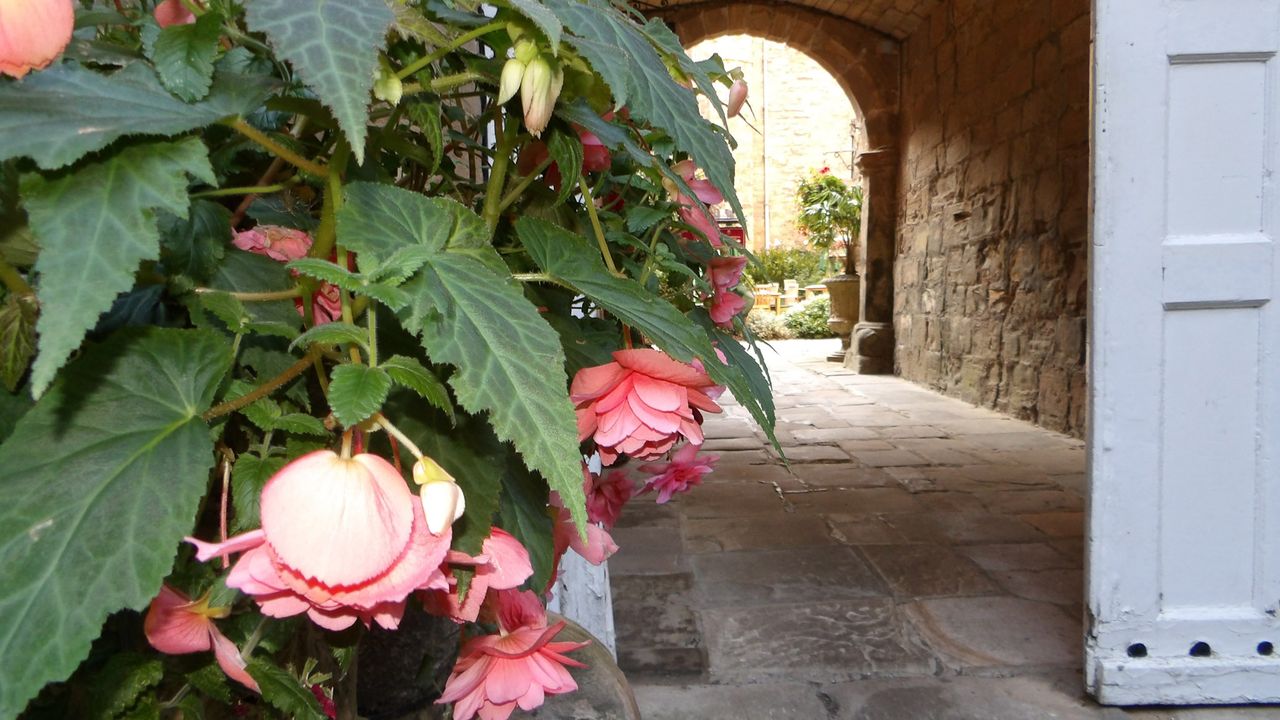 Images taken with the Kodak Pixpro AZ653