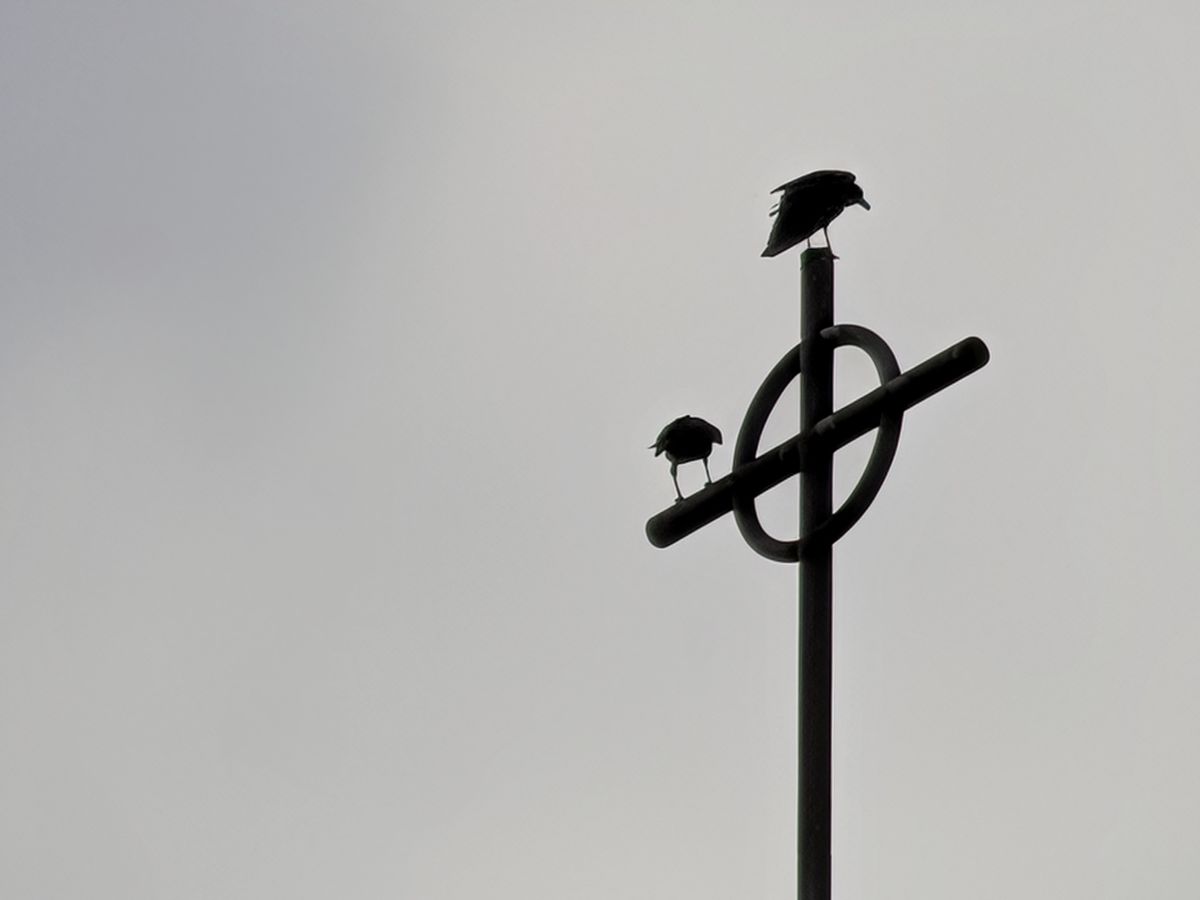 Church steeple by Pixel 10 Pro