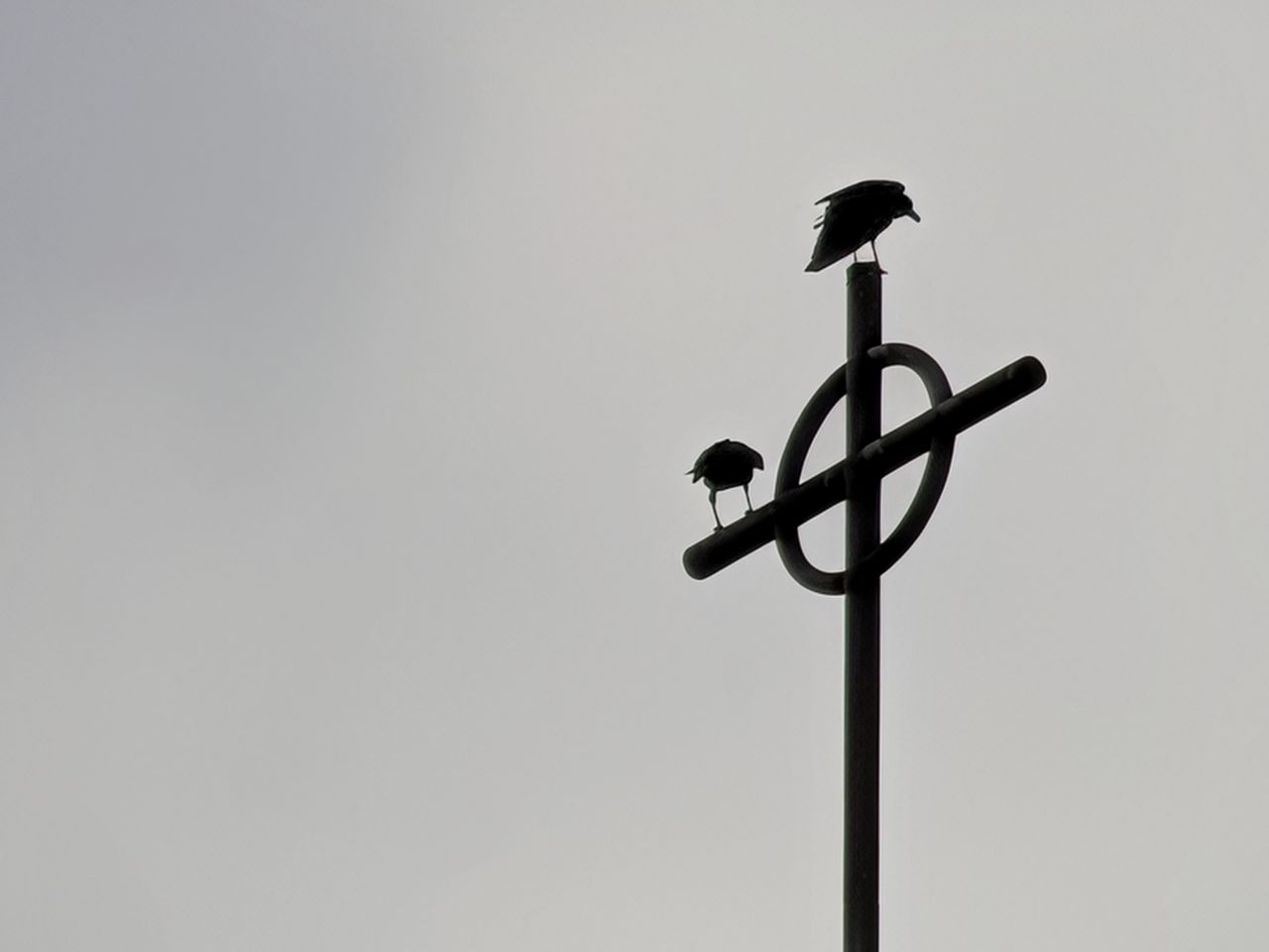 Church steeple by Pixel 10 Pro