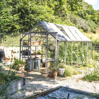 metal greenhouse in vegetable garden