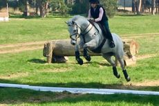 Susie cross-country schooling