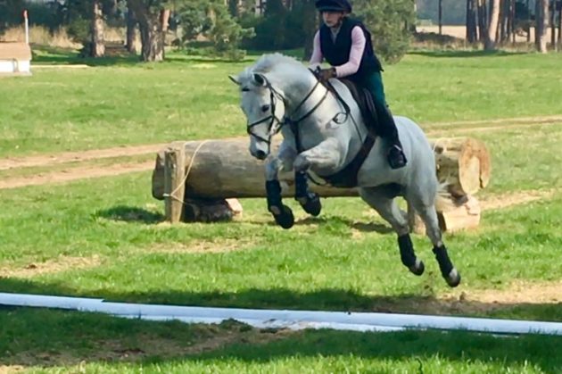 Susie cross-country schooling