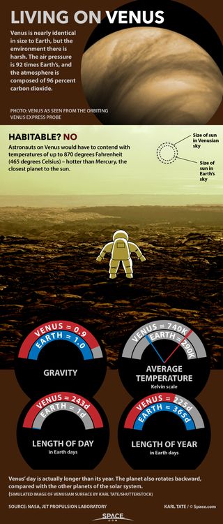 Crushing atmospheric pressure and temperatures of hundreds of degrees make survival on Venus rather challenging. See how living on Venus would be hard in this infographic.