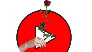 Red, Flower, Plant, Hand, Anthurium, Illustration, Coquelicot, Plant stem,