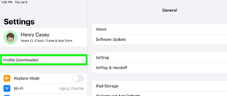how to download ipados 14 public beta steps