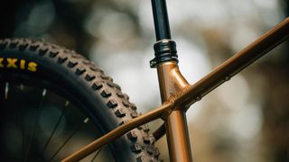 Close up on the dropper post of the Orbea Laufey
