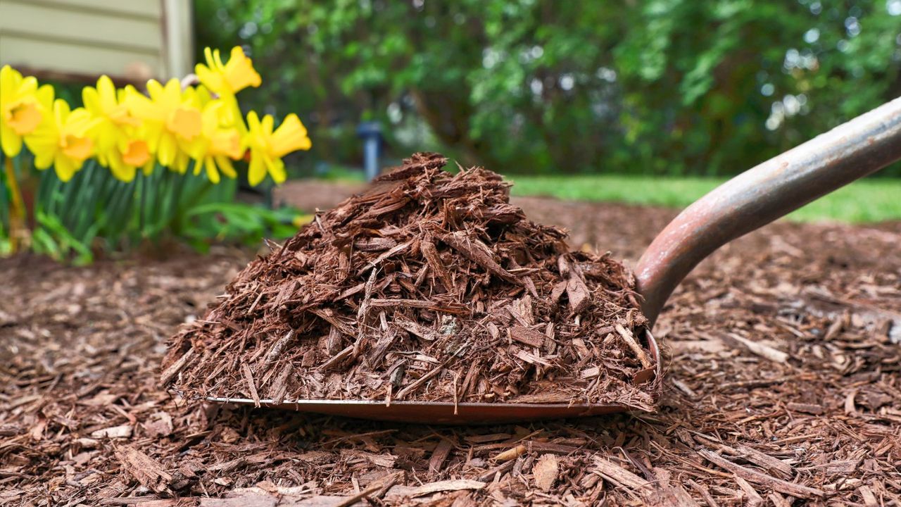 Mulching Landscape Beds In Spring