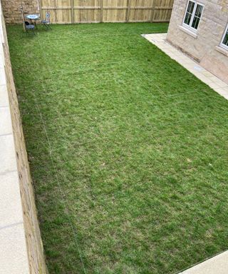 lawn mapped out with string
