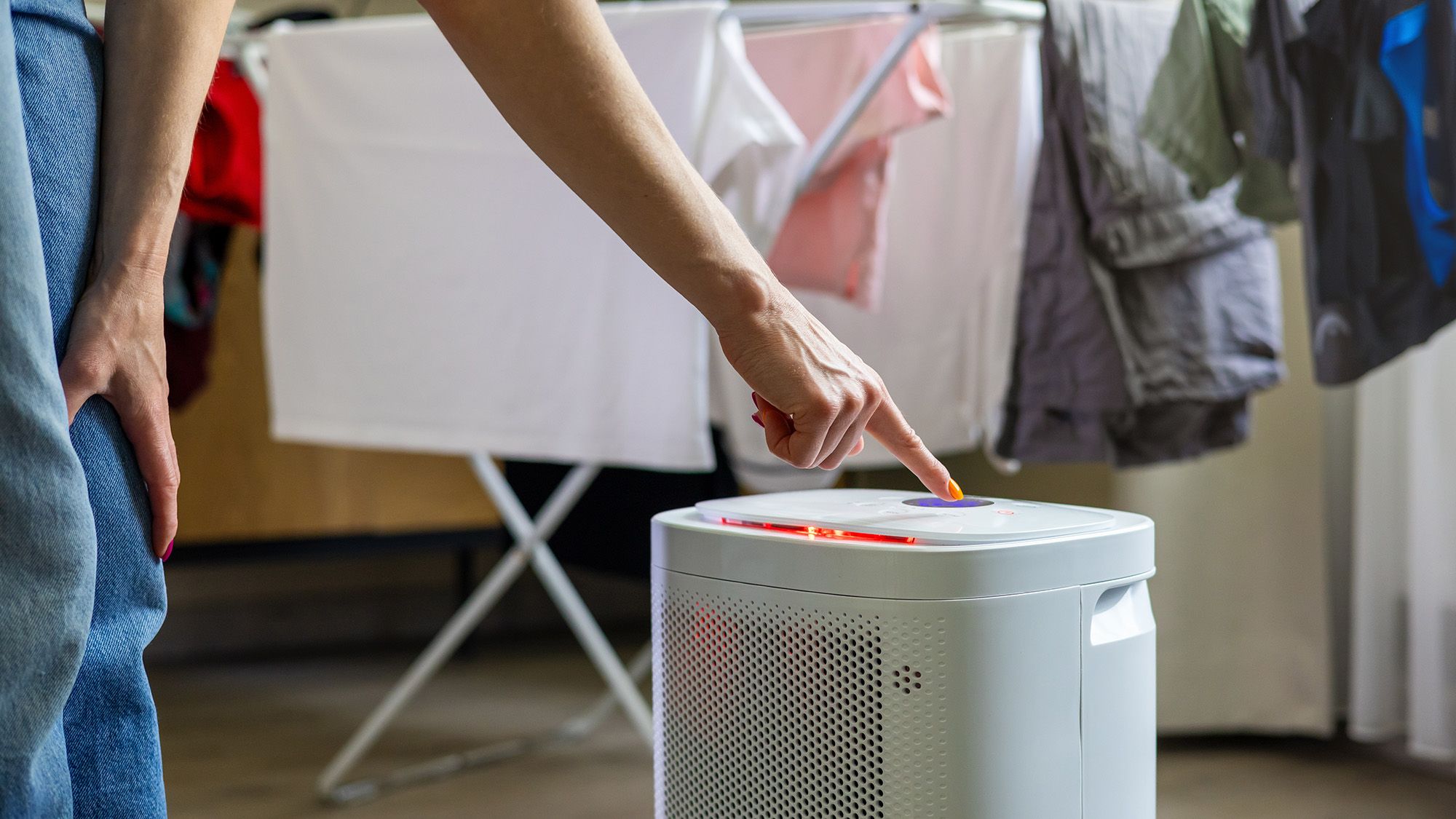 Can you use a dehumidifier to dry your clothes? Expert reveals all