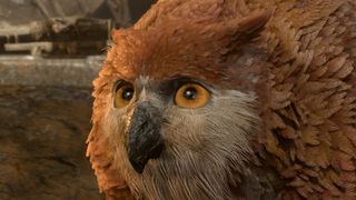 Baldur's Gate 3 owlbear cub
