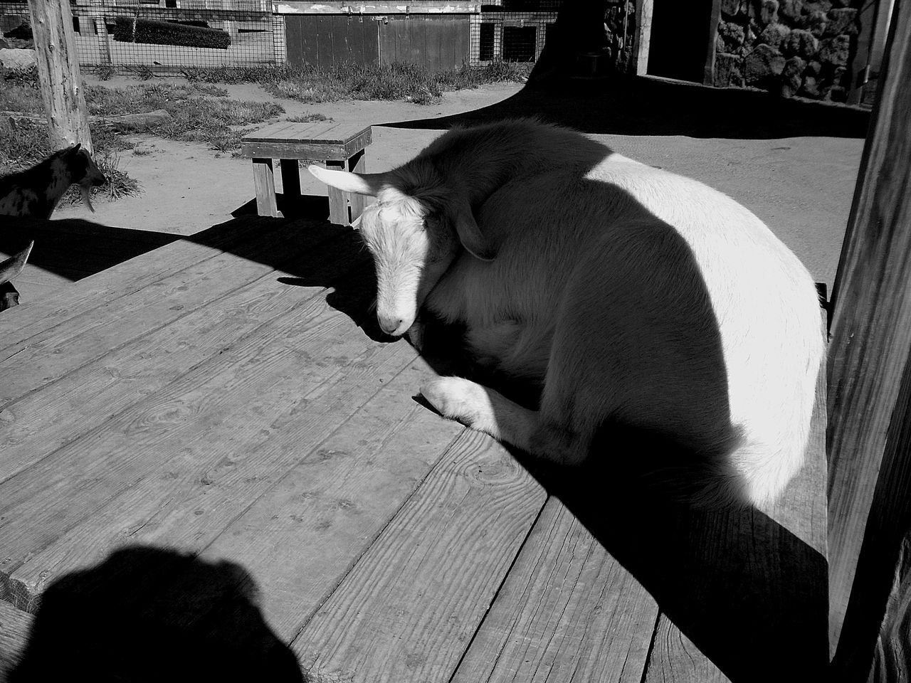 Sample image taken with the Camp Snap 2