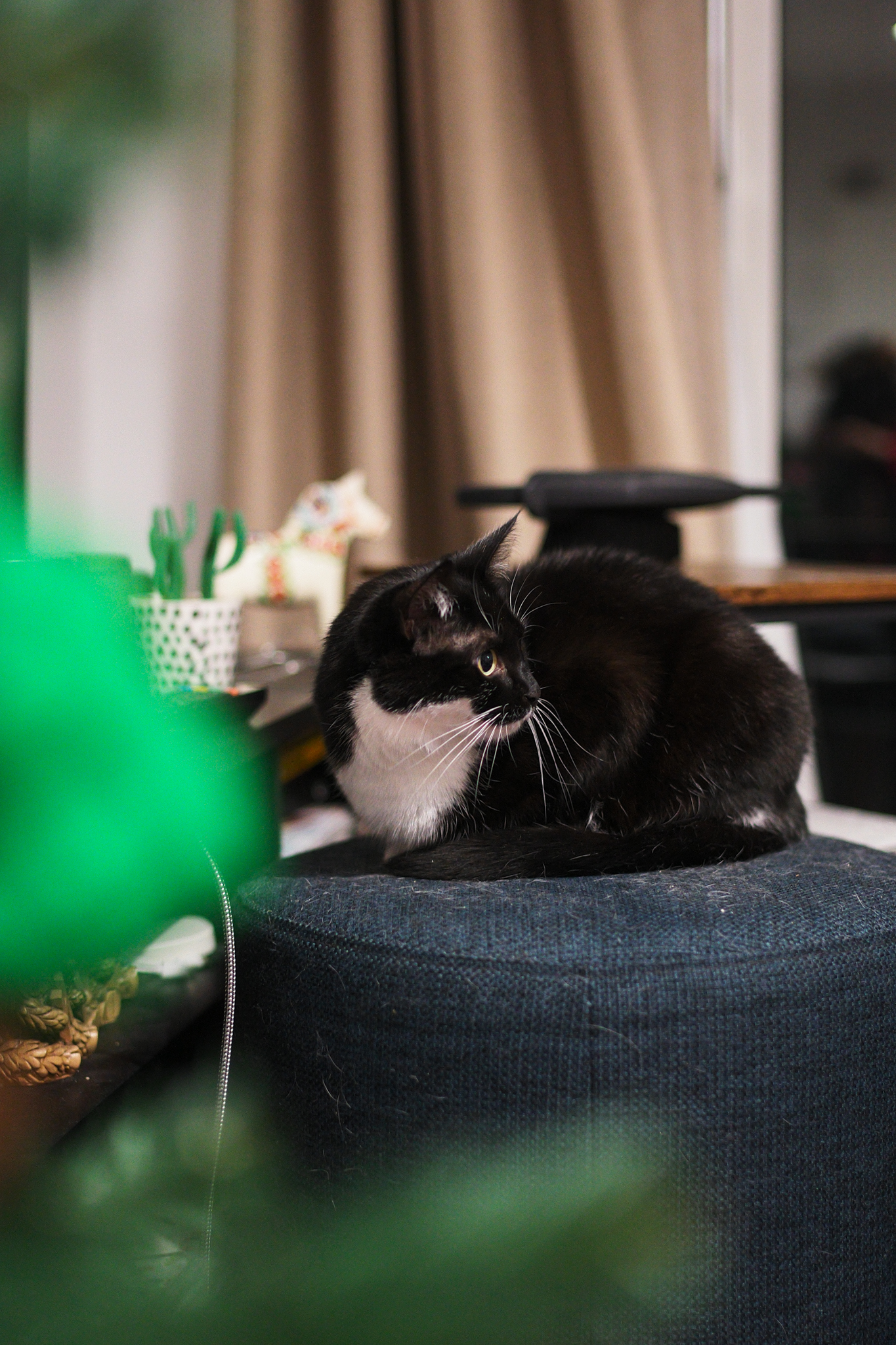 A photo taken on a Leica M EV1 rangefinder-style digital camera