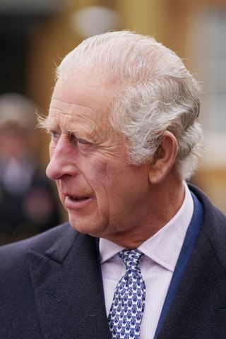 Closeup of King Charles