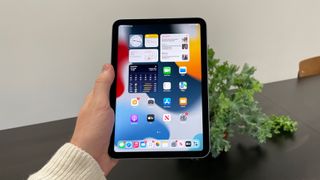 Apple iPad mini 6th Gen review, in hand in portrait mode, showing the iPadOS home screen