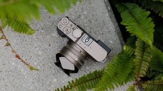 Panasonic Lumix L10 camera photographed from above among green plants.