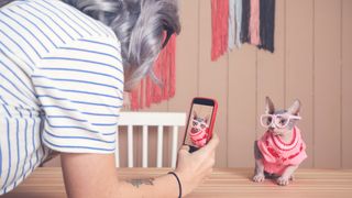 Woman taking cell phone picture of Sphynx cat wearing pullover and funny glasses