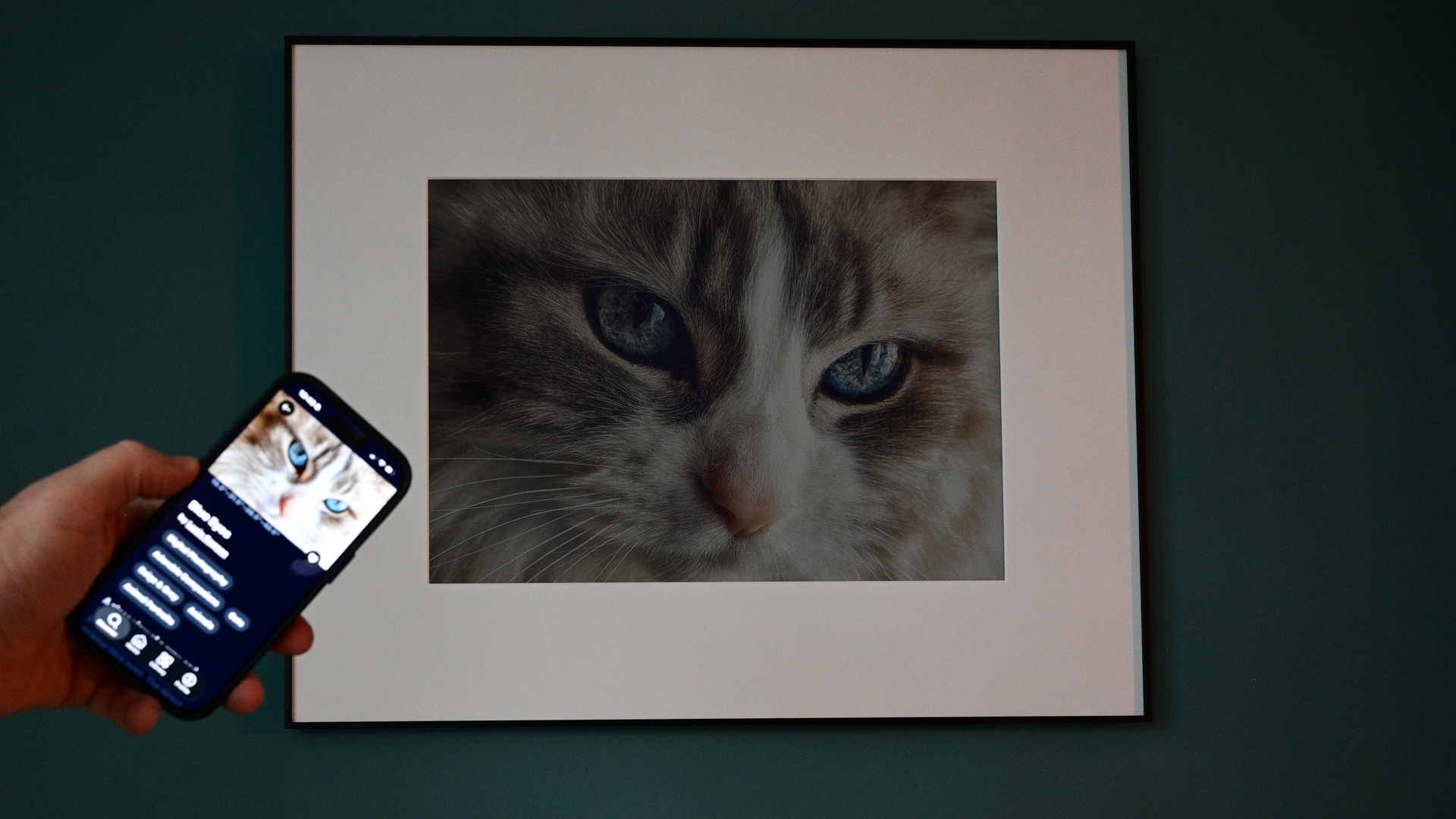 InkPoster Tela 28.5" frame showing photograph selection