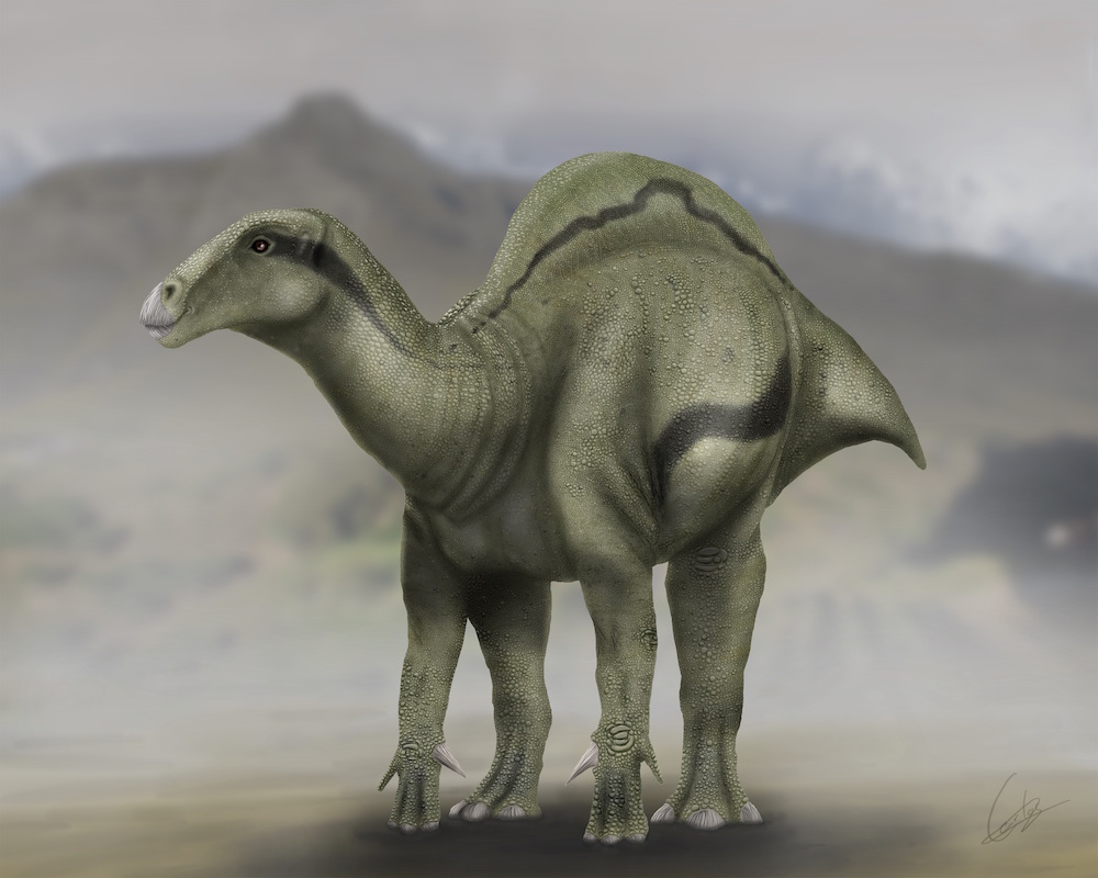 sail-backed dinosaur
