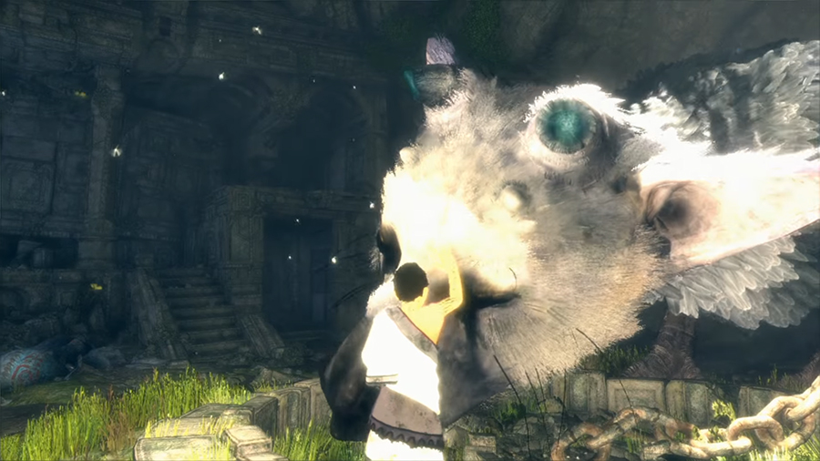 The Last Guardian' Reviews Will Come A Day Before Release