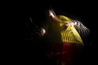 Canon flash stroboscopic tennis player portrait shot in a studio on a black background