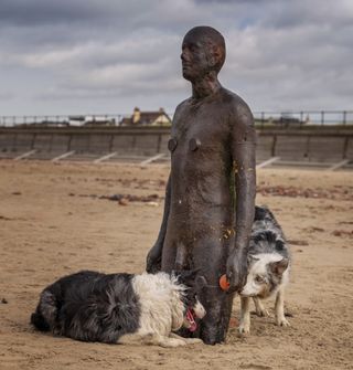 Comedy Pet Photography Awards 2021