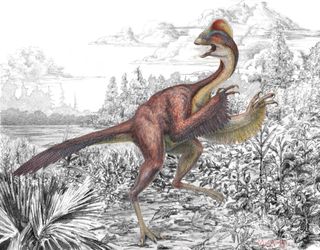 new dinosaur with feathers