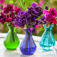 Individual Jewel Vases, was £7.95 now £5.57 | Sarah Raven