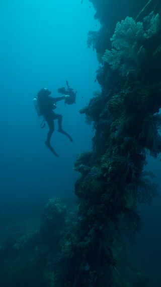 A diver explores the blown-up and sunken torpedoes of ships in the Chuuk lagoon. An expedition to this region is searching for samples of bacteria.