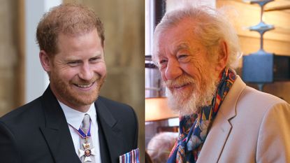 Prince Harry smiles in a black suit and Sir Ian McKellen smiles in a printed scarf and tan jacket.