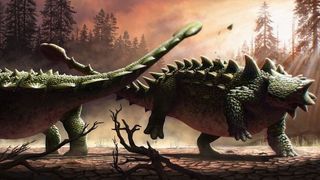 An artist's interpretation of ankylosaur Zuul crurivastator in battle. 