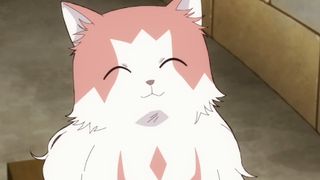The Cat and the Dragon mother cat smiling