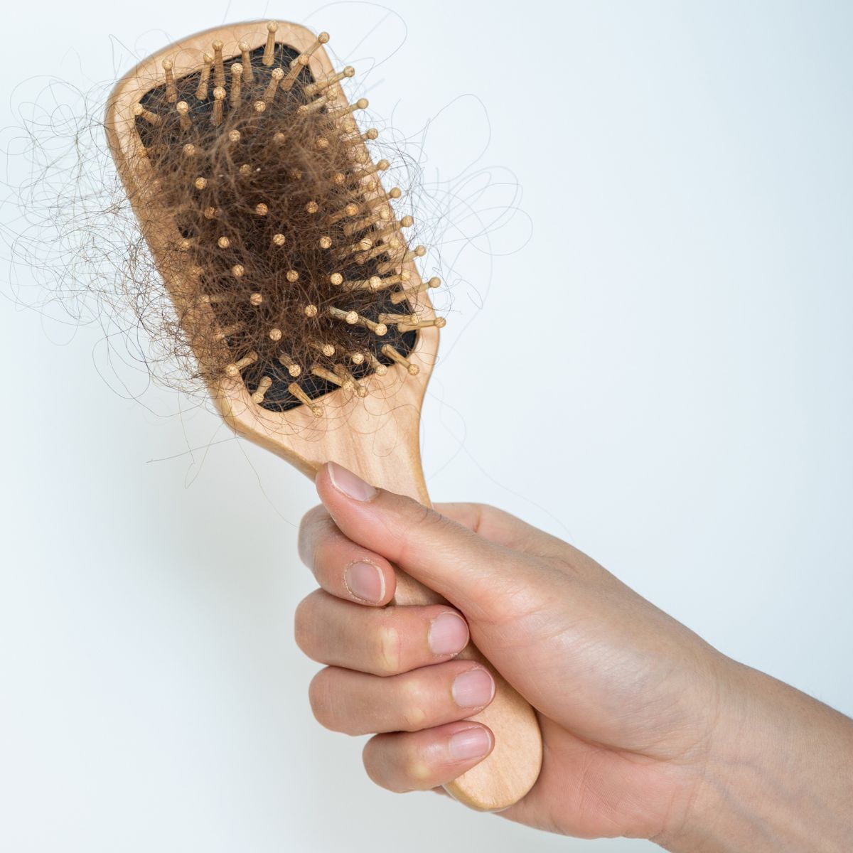image of a woman&#039;s hand holding a hairbrush with lots of hair in it