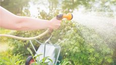Are expandable garden hoses worth it