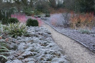 winter garden at Mottisfont National Trust