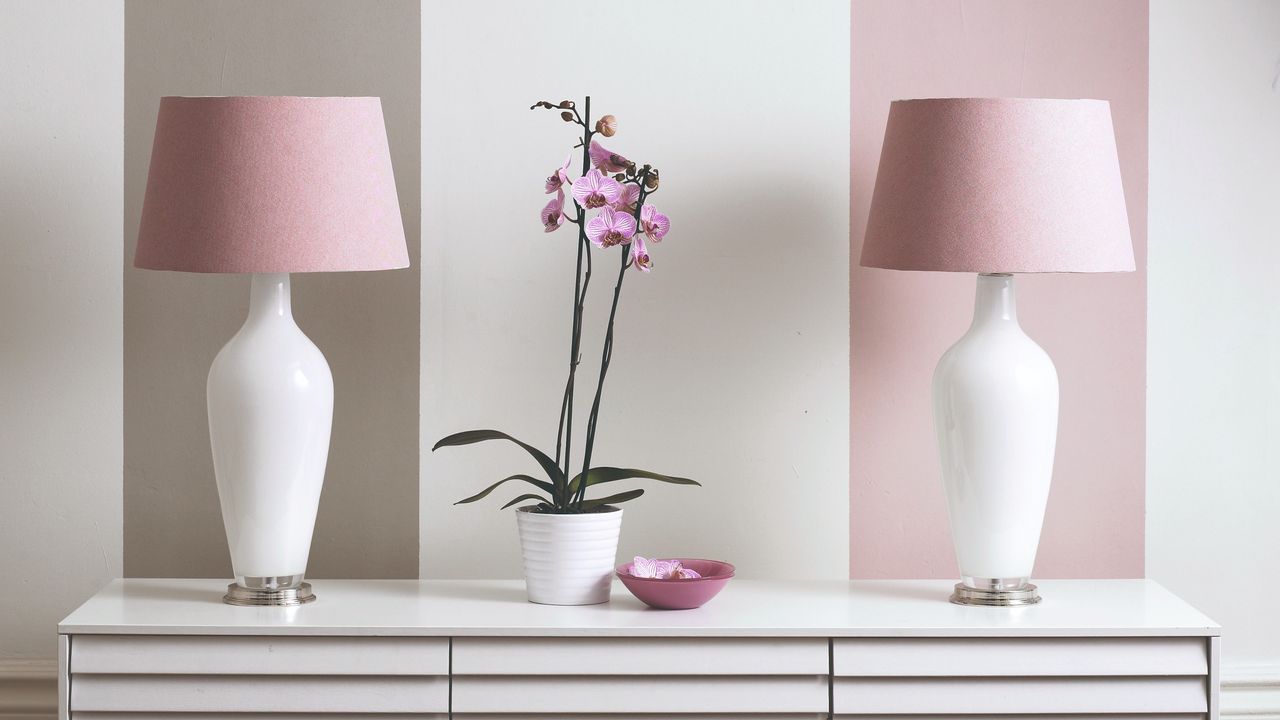 A pink orchid plant with matching table lamps on either side