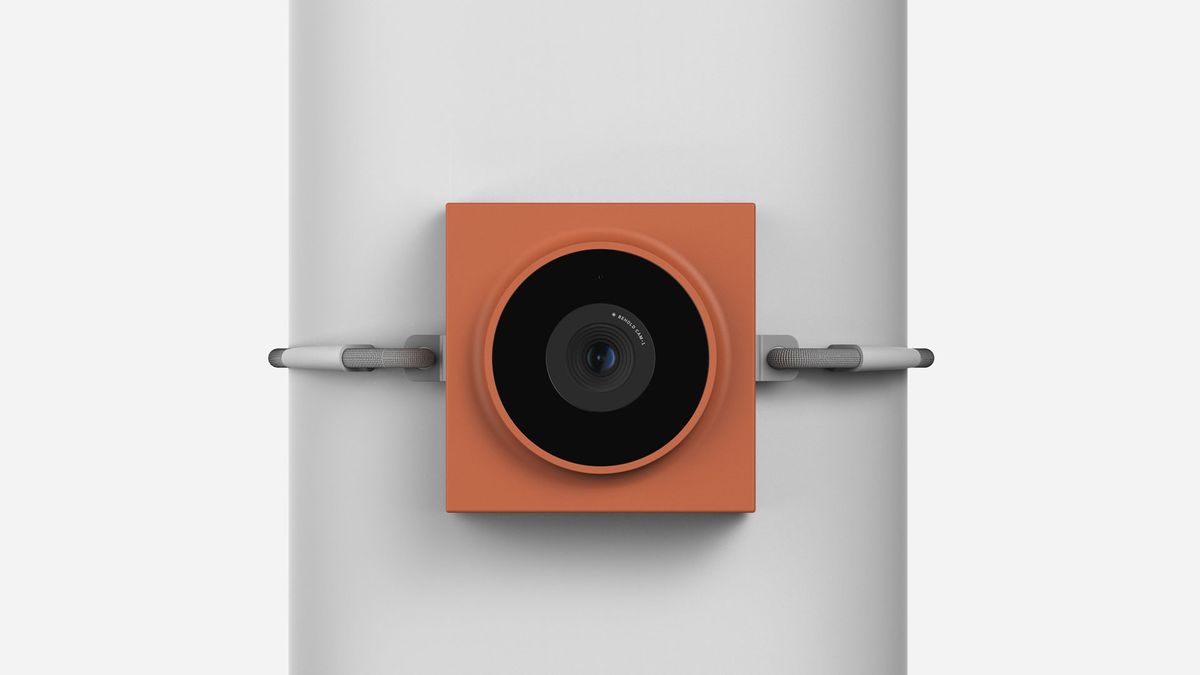 An image of the Behold Cam-1 wildlife camera