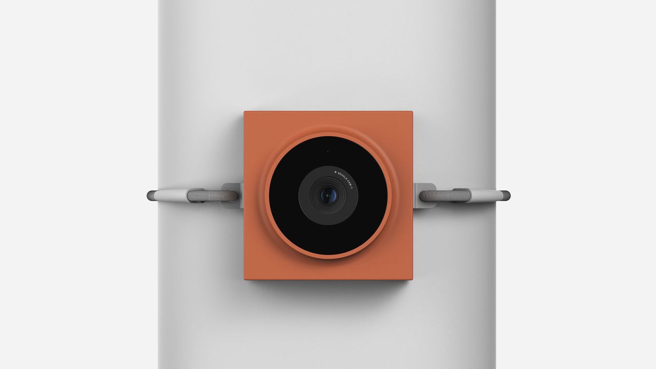 An image of the Behold Cam-1 wildlife camera