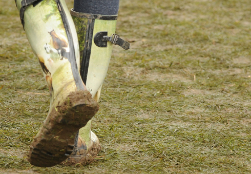 Badminton Horse Trials Cross country 2010