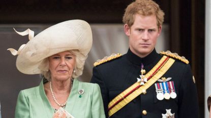 Camilla, Queen Consort, Prince Harry