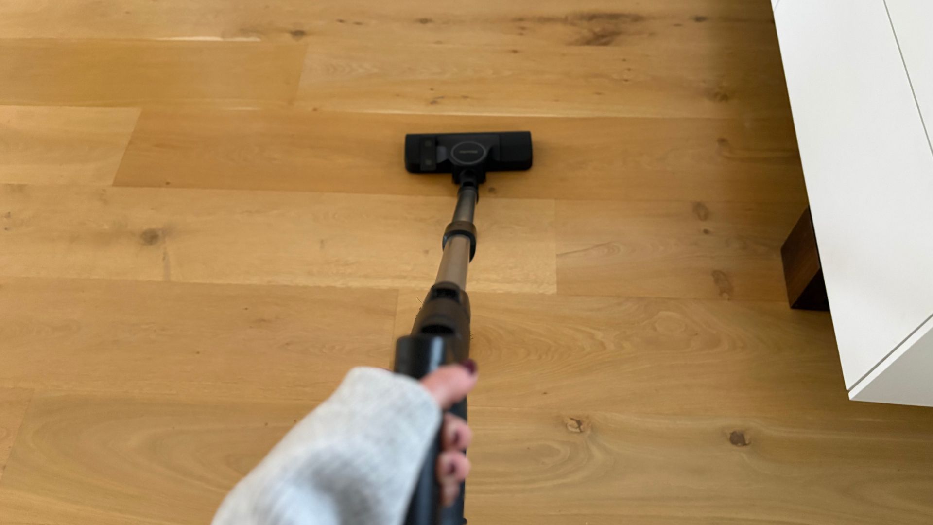 Testing the Miele Guard L1 Cylinder Vacuum