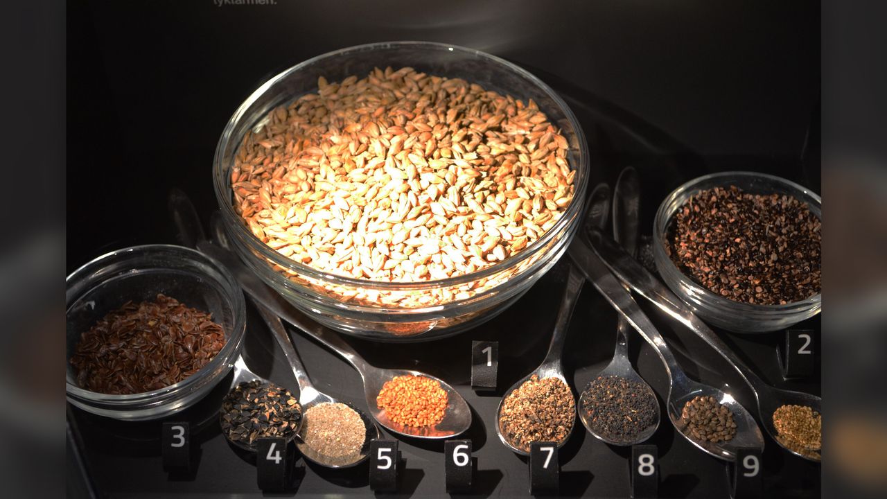Except for the fish, here are the foods that Tollund Man ate and their respective quantities: 1) Barley, 2) pale persicaria, 3) flax, 4) black-bindweed, 5) sand, 6) gold-of-pleasure, 7) fat hen, 8) corn spurrey, 9) hemp-nettles and 10) field pansy.